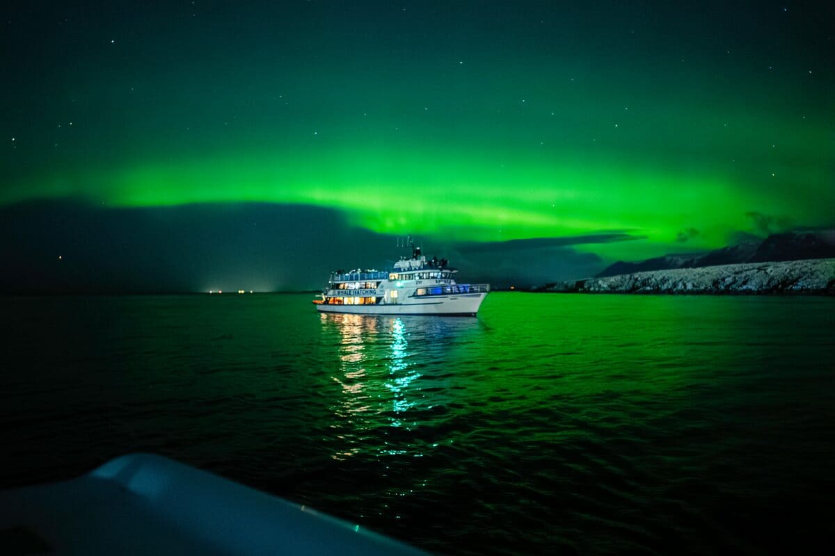 Northern lights glowing over a whale-watching boat on dark water near Reykjavik.