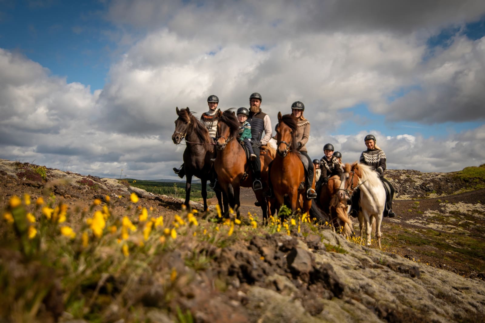 Adults and children riding Icelandic horses through lava-field countryside