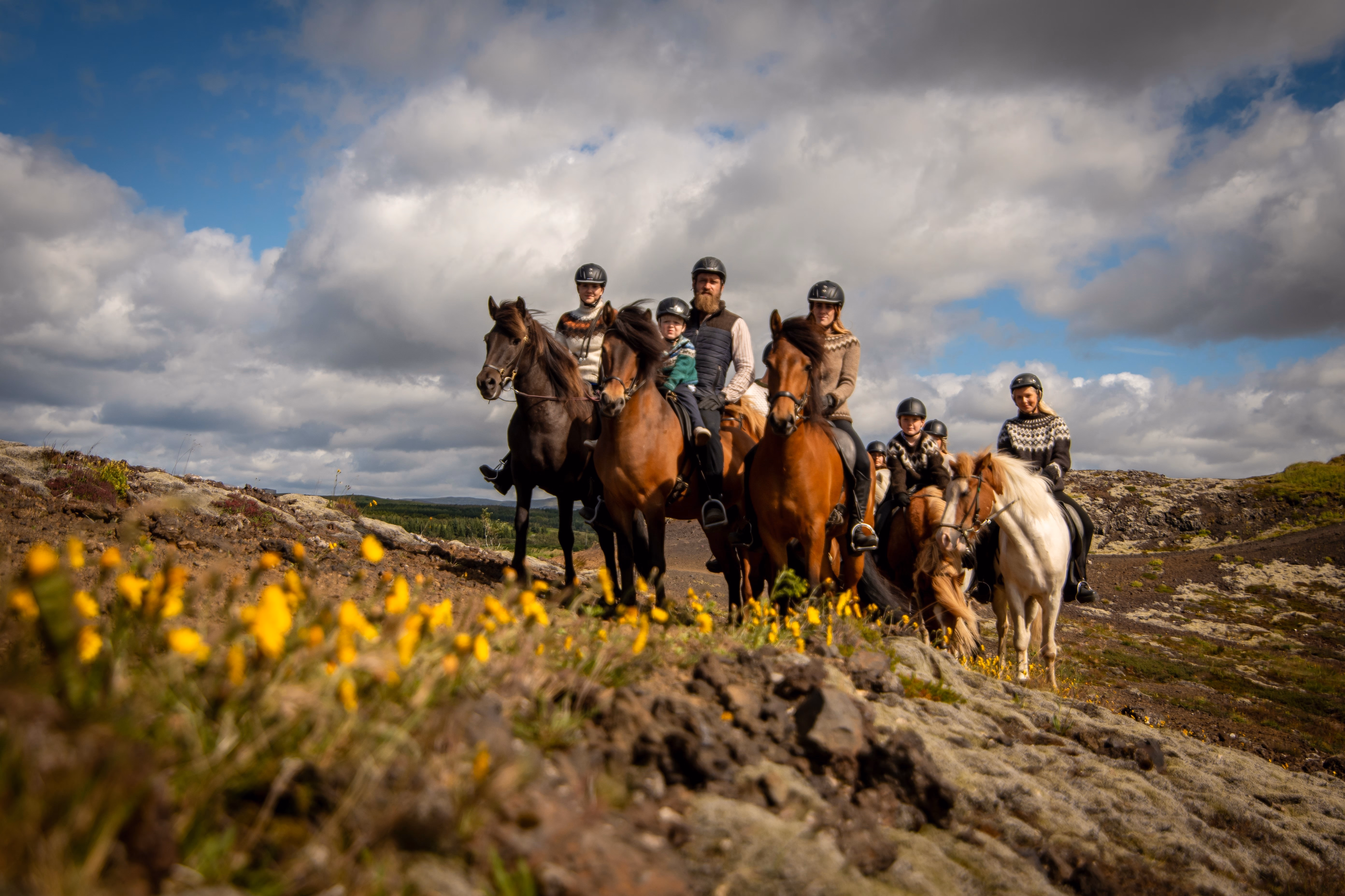 Adults and children riding Icelandic horses through lava-field countryside