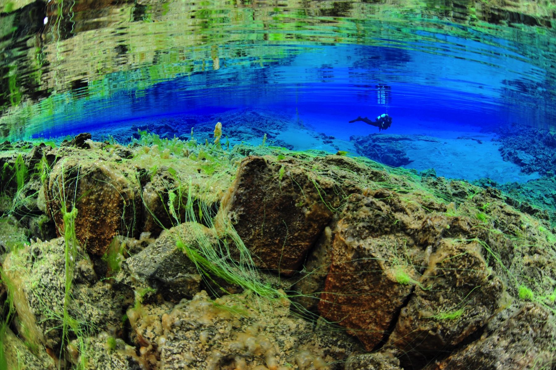 Wide underwater view of a diver in the clear blue Silfra lagoon.
