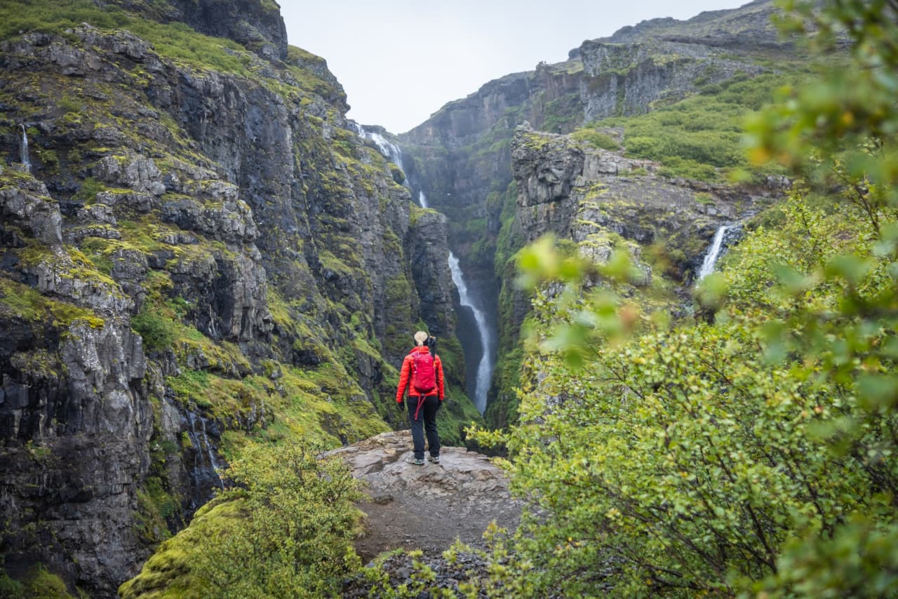 Hiker looking toward Glymur Waterfall inside a steep green canyon.