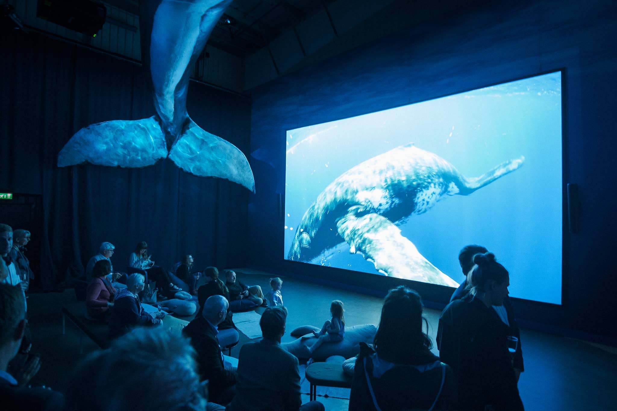 Life-size whale models inside the Whales of Iceland exhibition in Reykjavik.