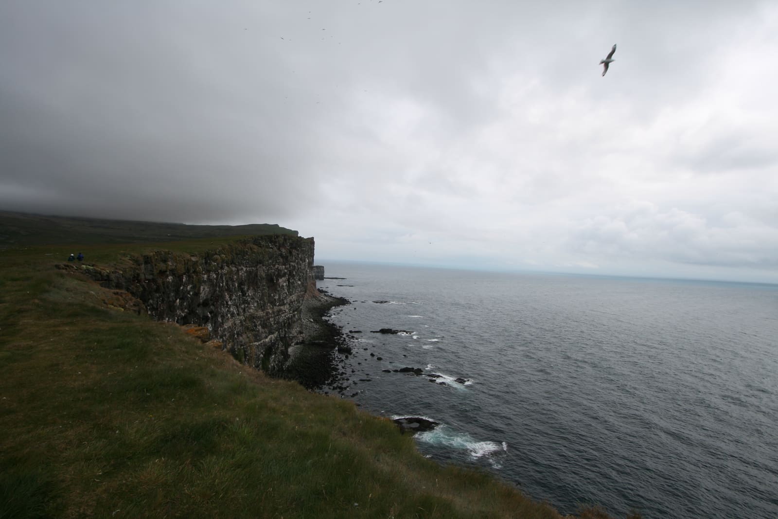 Exposed grass-topped sea cliffs at Látrabjarg beneath a cloudy sky