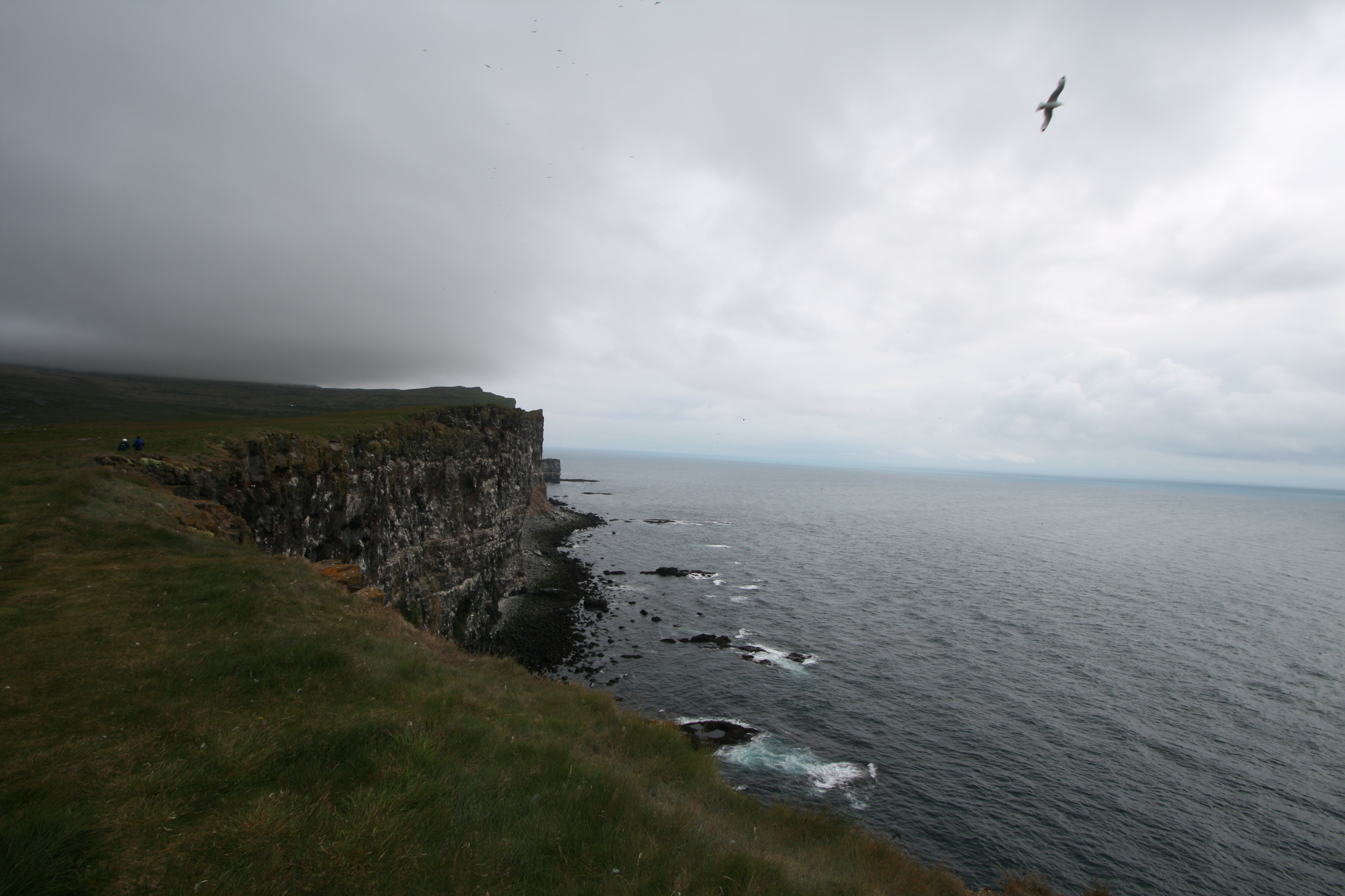 Exposed grass-topped sea cliffs at Látrabjarg beneath a cloudy sky