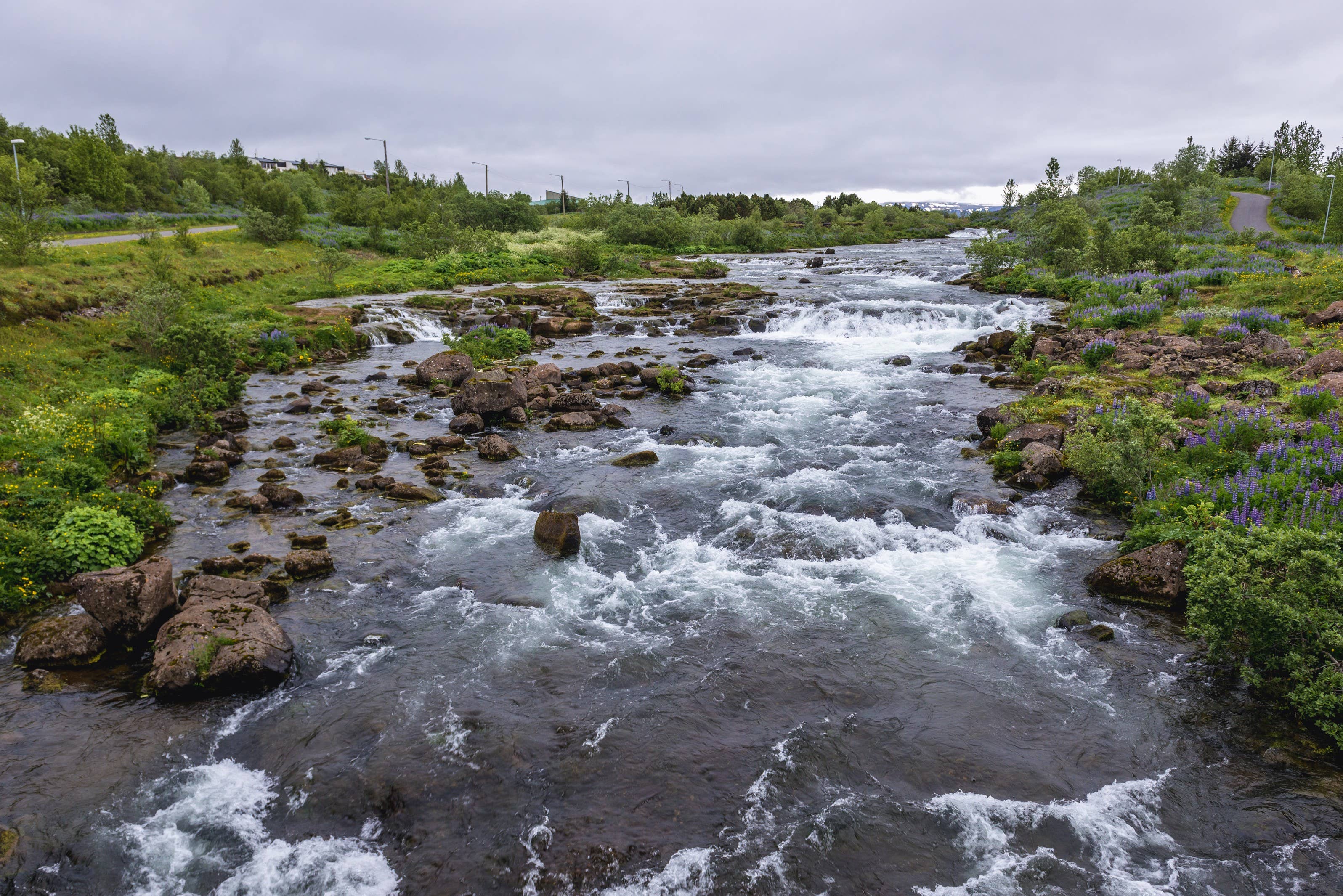 Elliðaá river rushing through Elliðaárdalur Valley in Reykjavík