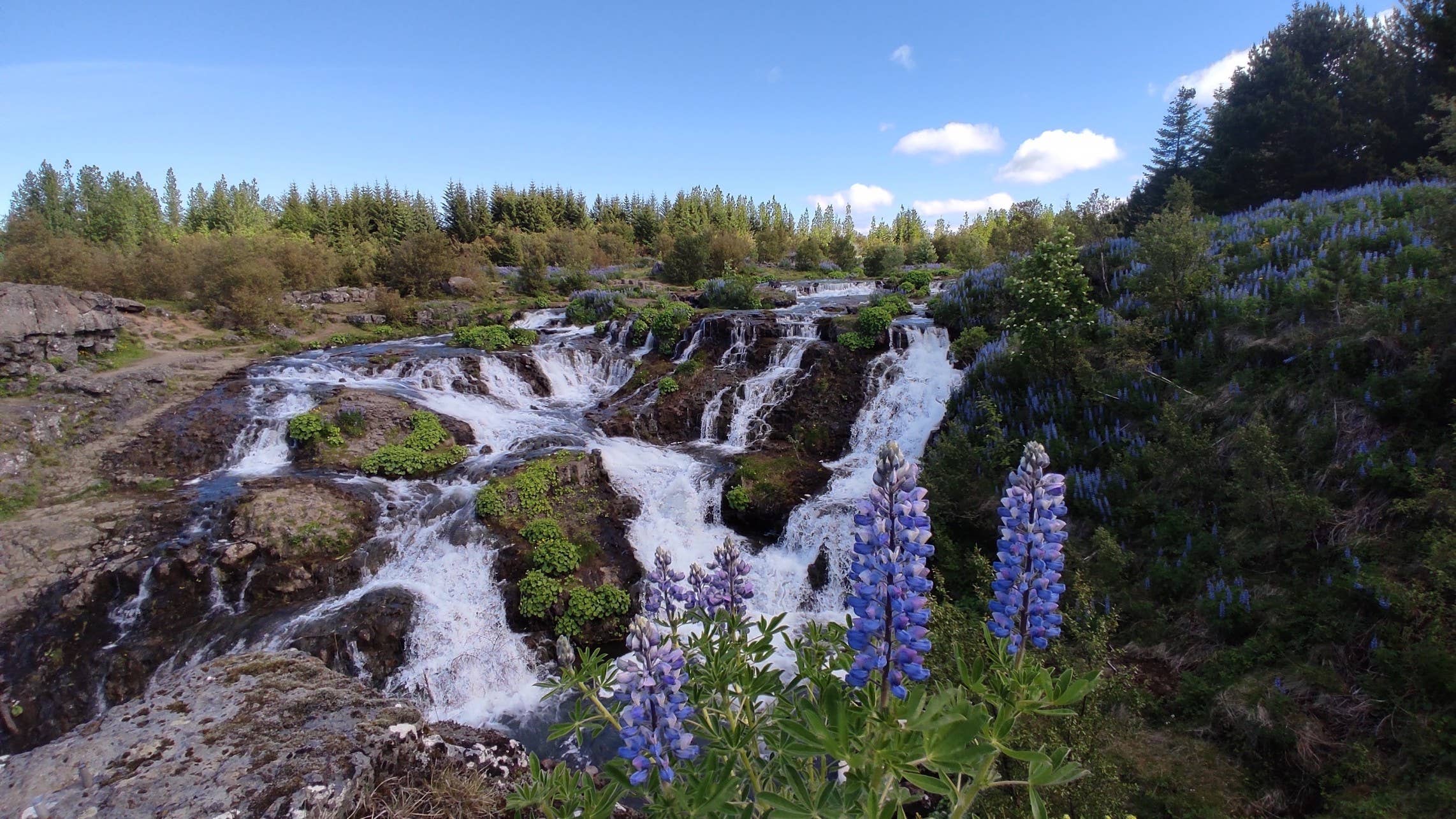 Kermóafoss waterfall flowing through Elliðaárdalur Valley in Reykjavík