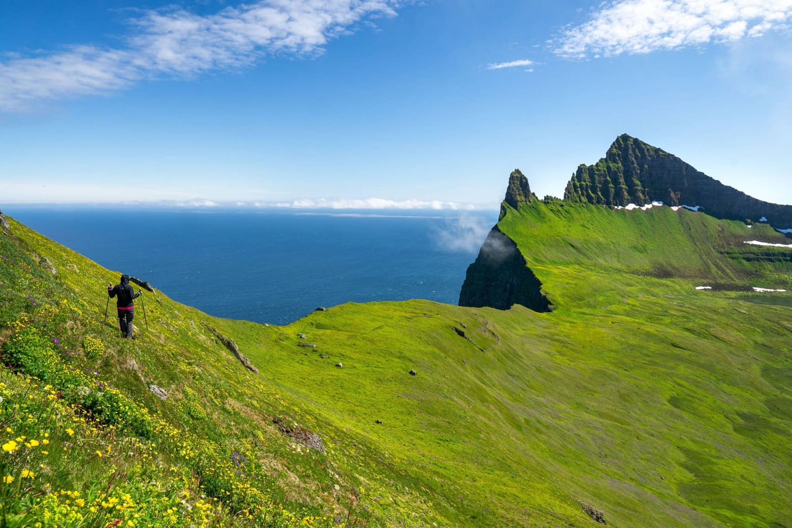 Hiker on a green Hornstrandir cliff path above the ocean near Hornbjarg.