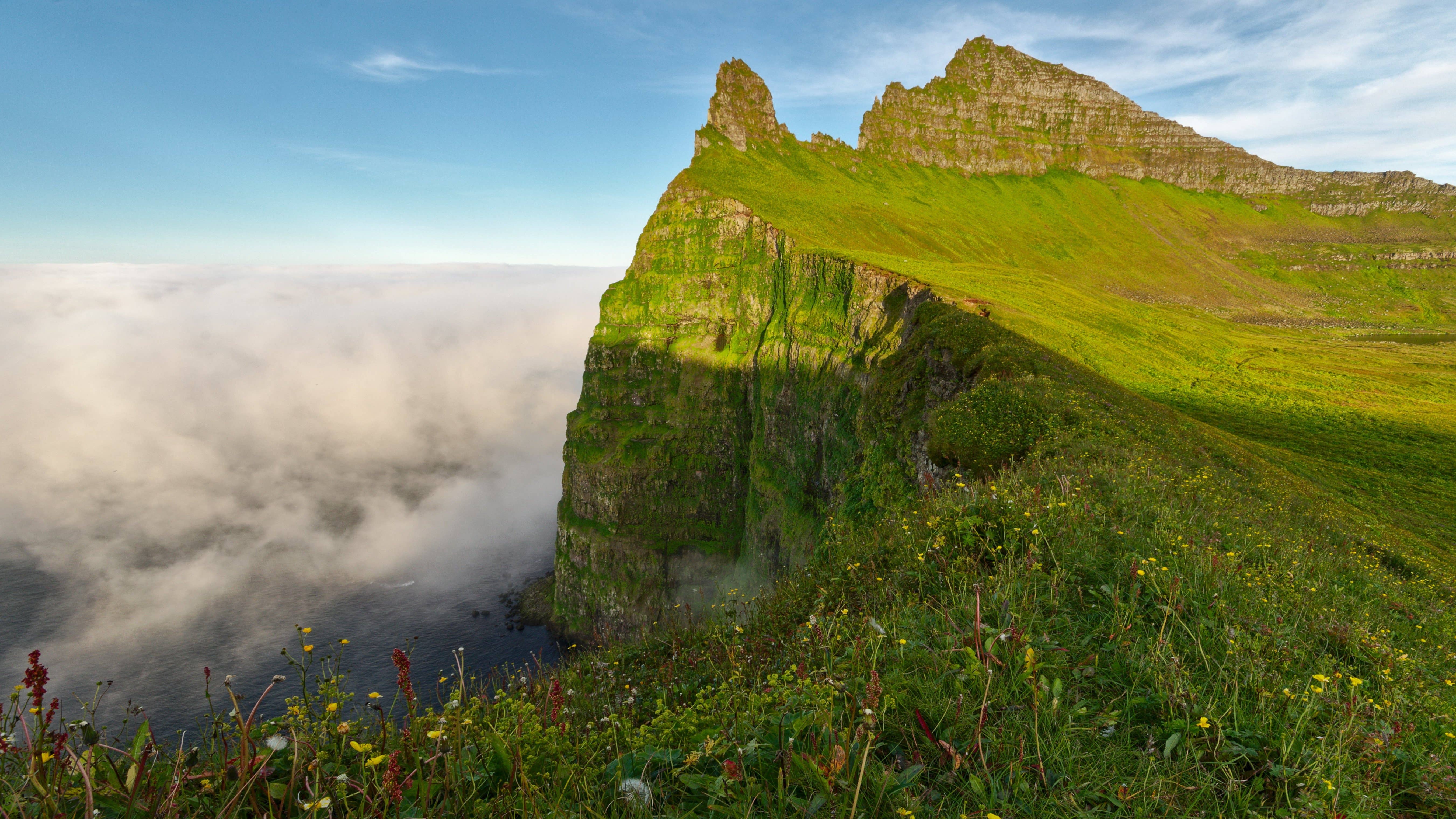 Green Hornstrandir sea cliffs rising above low cloud and the ocean.