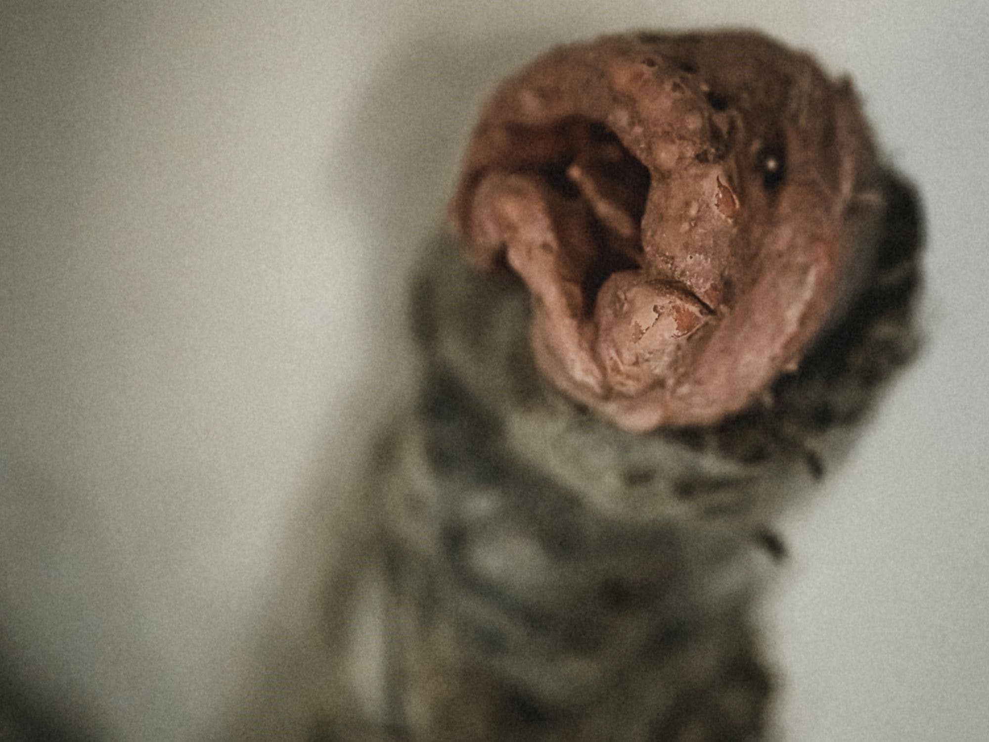 Tilberi folklore creature exhibit at the Museum of Icelandic Sorcery and Witchcraft.