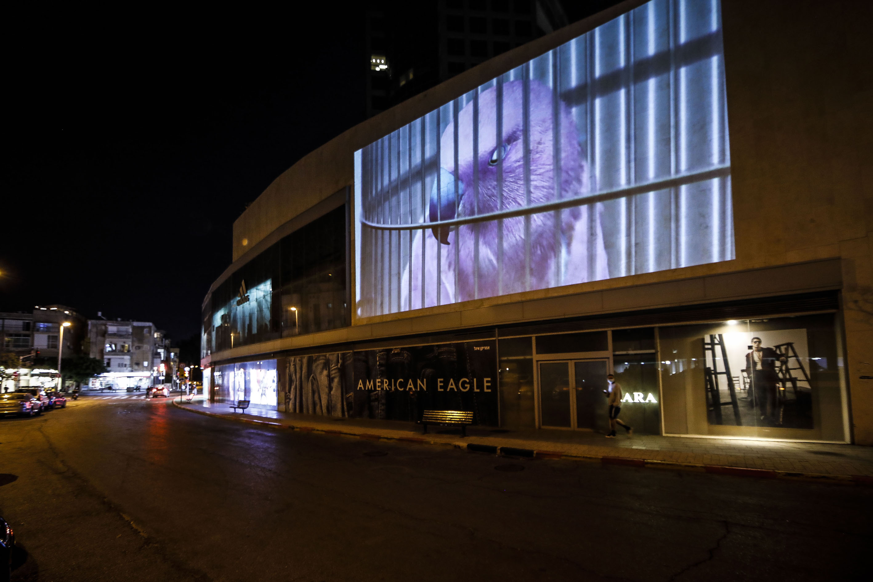 לילות קורונה: עבודות אמנות וידאו מאוסף מוזיאון תל אביב הוקרנו בענק על קירות מבנים – מול מרפסות וחלונות בתים בתל אביב