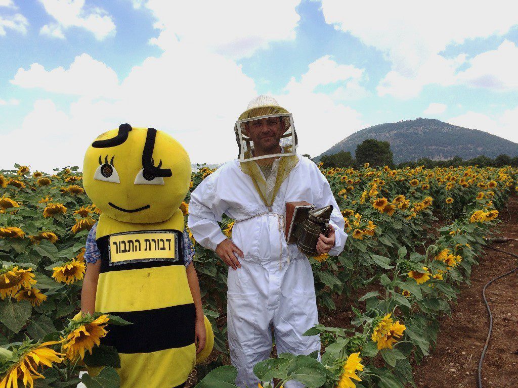 לכבוד יום הדבורה הבינלאומי שיחול ב- 20.5.2020 - מספרת מועצת הדבש כל מה שלא ידעתם על דבורת הדבש