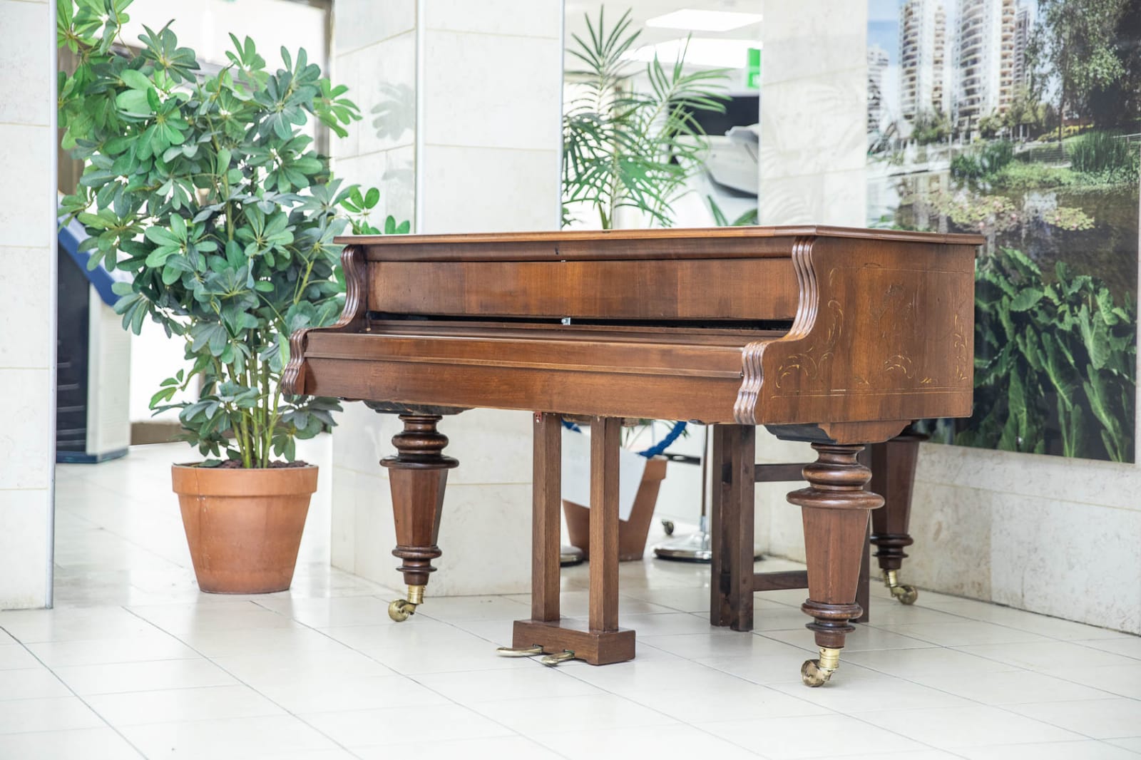 גלגולי הפסנתר המיתולוגי של משפחת סלומון עד שהגיע לבניין עיריית פ"ת