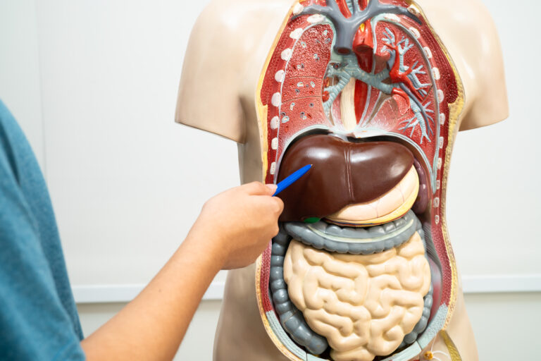 ¿Sufres de mareos constantes? Revisa tu hígado, intestino y sistema nervioso