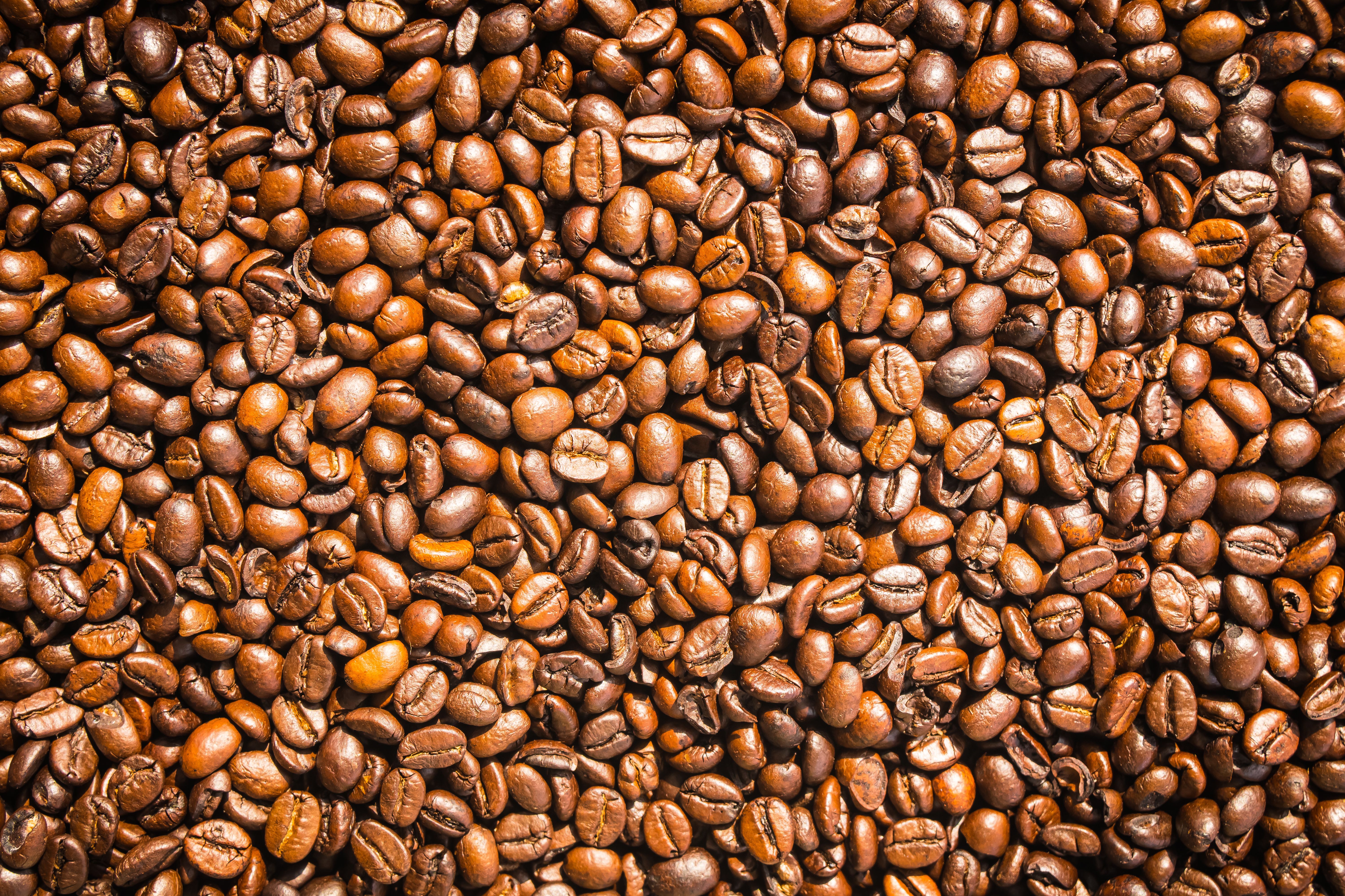 brown-coffee-beans-seed.jpg