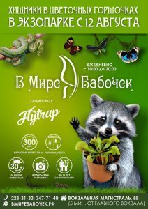 1470809987_a4-vert-pokaz-2