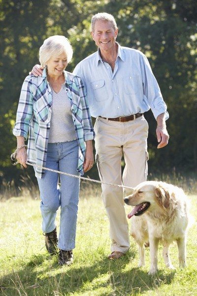 Pet-dogs-and-older-adults