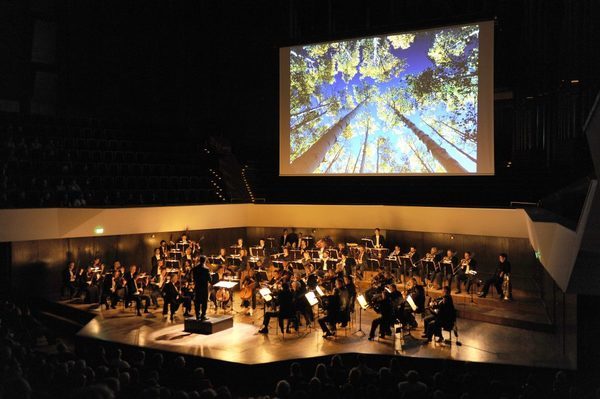 В столице впервые пройдет концерт Филармонического камерного оркестра Берлина Цукерника