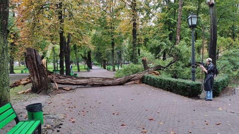  (FOTO) Pericolul din parcuri: Un arbore uriaș uscat s-a prăbușit în Grădina Publică Ștefan cel Mare