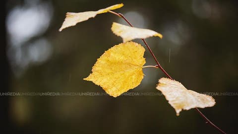  Vreme stabilă de toamnă: Meteorologii prognozează temperaturi moderate pentru astăzi