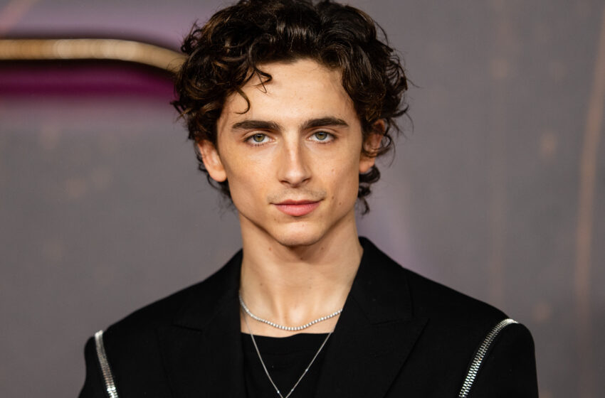  (VIDEO) Apariție surpriză a actorului Timothée Chalamet în mijlocul unui concurs de sosii. Cum au reacționat fanii