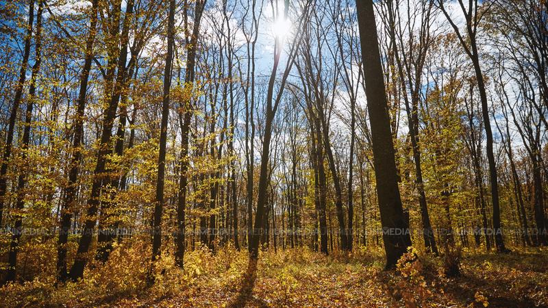  Zi de toamnă frumoasă în Moldova: Ce temperaturi ne promit meteorologii pentru astăzi