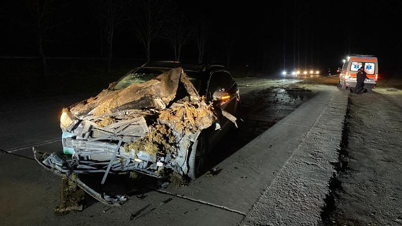  (FOTO) O căruță, spulberată pe șosea de un automobil, la Sângerei: Căruțașul era beat și neechipat corespunzător