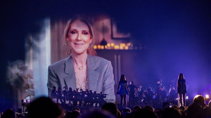 (VIDEO) Celine Dion, apariție surprinzătoare în prima semifinală Eurovision 2025. Fanii au luat-o razna: „Eu nu plâng, tu plângi”
