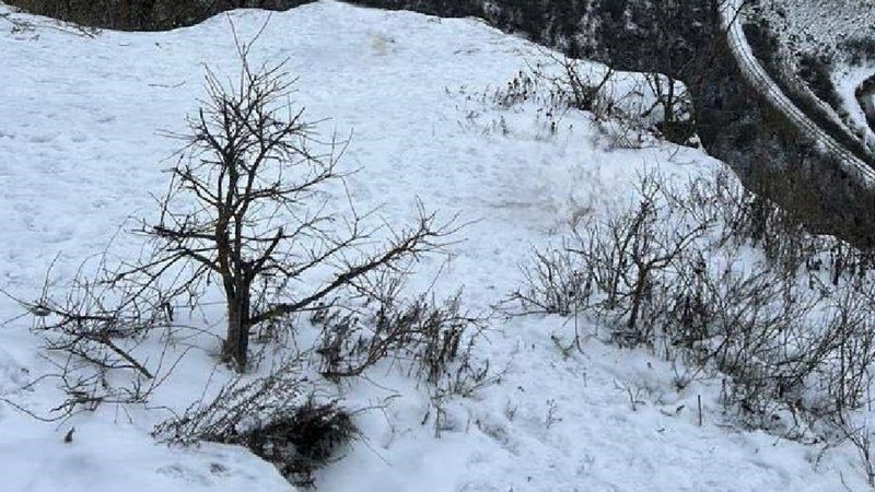  Tragedie la Rezina: O fată de 17 ani a murit după ce a căzut de pe o stâncă