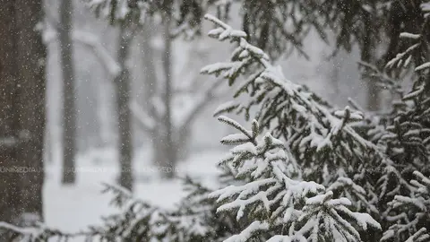  Zi de iarnă blândă și fără precipitații: Cum va fi vremea la început de noul an
