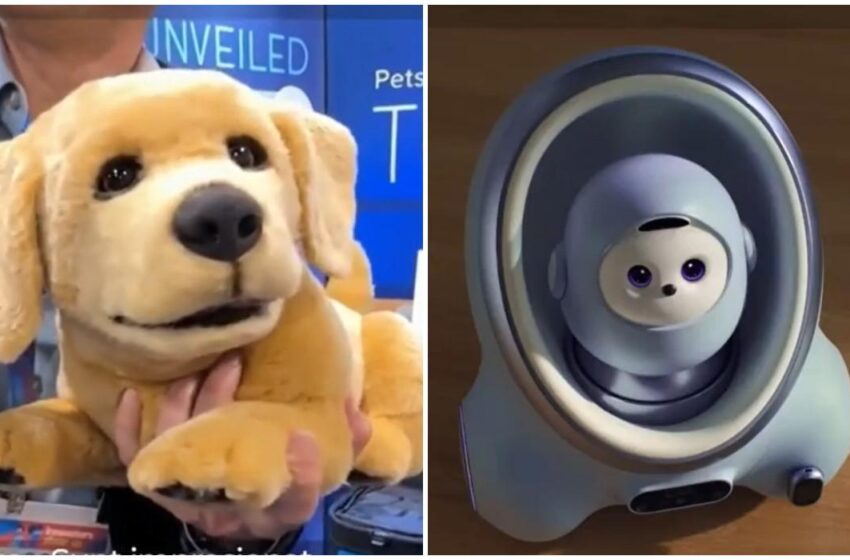  (VIDEO) Cum arată noile animale de companie cu AI, din metal, concepute pentru cei alergici