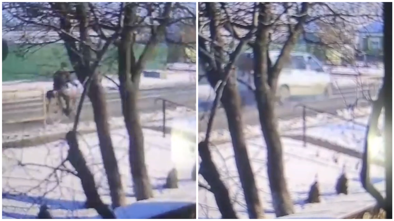  (VIDEO 18+) Un biciclist, lovit mortal de un Mercedes, la Prodănești: Momentul tragediei, surprins de camere