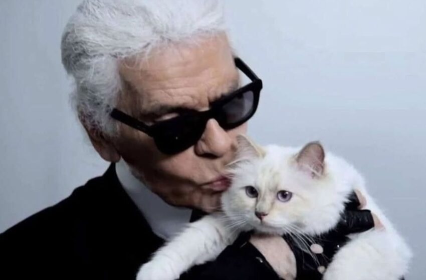  Cea mai bogată pisică din lume, în pericol să rămână fără avere. Testamentul lui Karl Lagerfeld a fost contestat