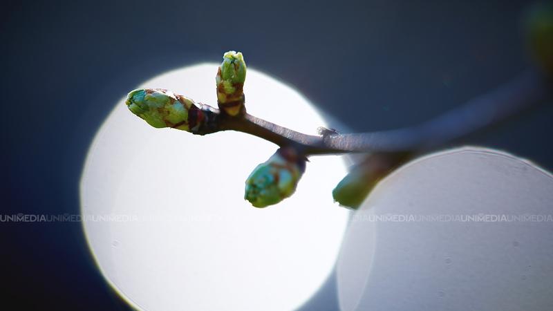  Dimineață răcoroasă și după-amiază mai caldă: Câte grade vor fi astăzi