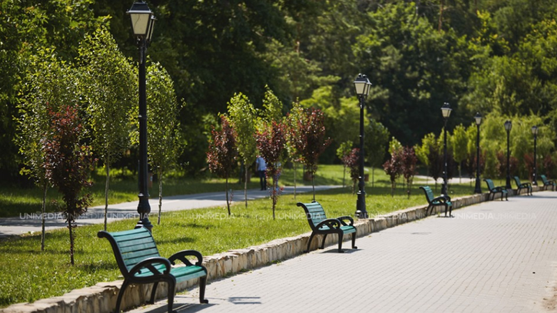  Vreme însorită și temperaturi ridicate: Meteorologii promit o zi ideală pentru activități în aer liber