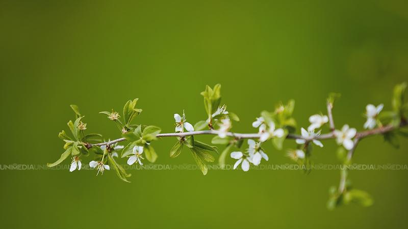  Ziua începe cu nori și se încălzește treptat: Temperaturile urcă până la 14 grade astăzi