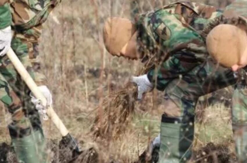  Doi militari în termen, pedepsiți pentru consumul de droguri pe teritoriul unității militare