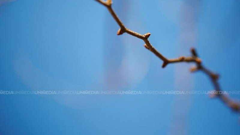  Vreme stabilă și cer variabil: Câte grade vor fi astăzi