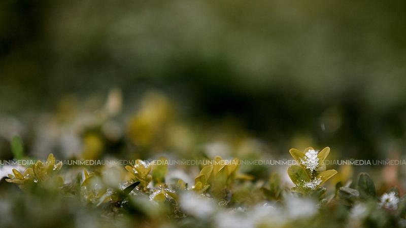  Zi cu contraste termice: Meteorologii ne promit frig dimineața și temperaturi mai plăcute după-amiază