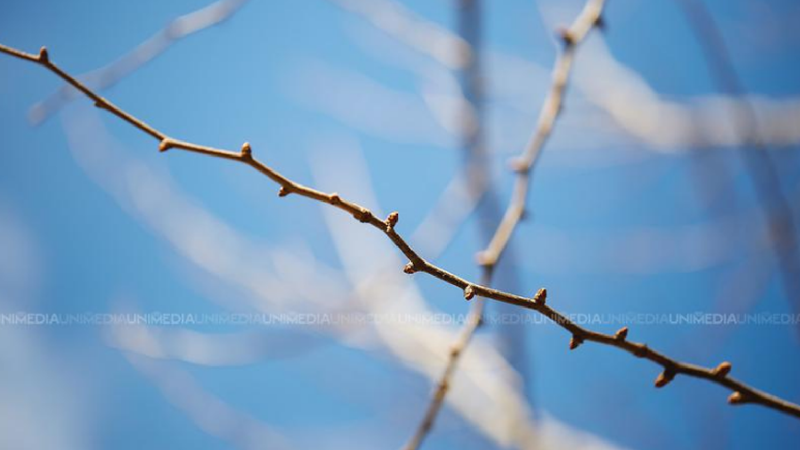  Vreme caldă la început de săptămână: Câte grade vor fi astăzi