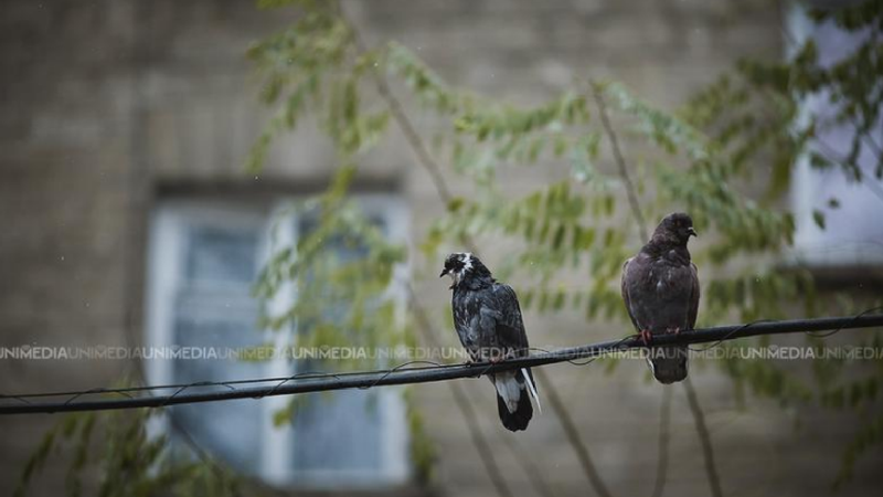  Cer senin și vreme caldă: Câte grade ne promit meteorologii în prima zi de primăvară