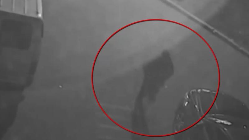  (VIDEO) Ar fi urmărit o femeie până în scara unui bloc locativ, unde ar fi atacat-o și i-ar fi furat geanta: Un bărbat de 30 de ani, reținut în capitală