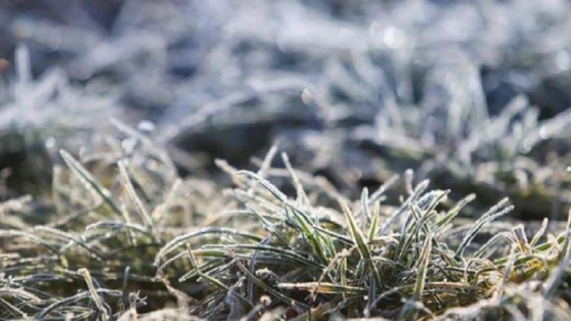  Alertă după alertă în Moldova: Meteorologii au prelungit codul galben de înghețuri. Ce temperaturi ne așteaptă