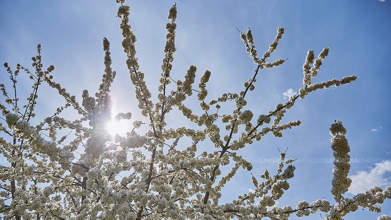  Vreme schimbătoare, dar plăcută astăzi: Meteorologii anunță o zi cu temperaturi în creștere, la început de săptămână