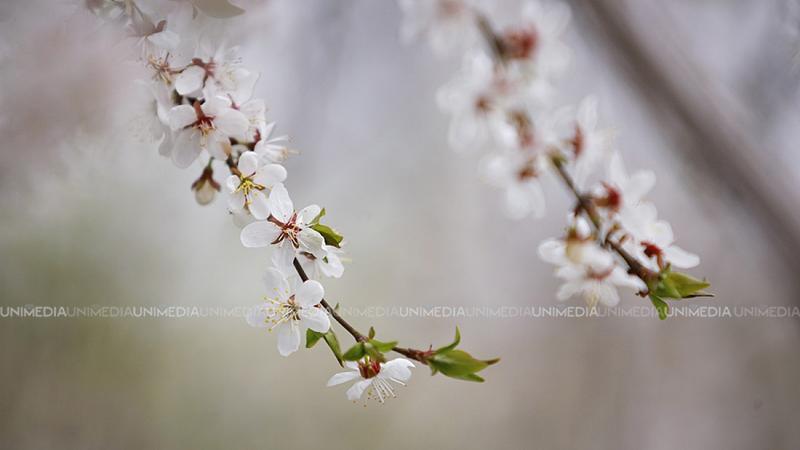  A doua zi de Paște cu vreme schimbătoare: Dimineață rece, după-amiază blândă și maxime de până la 13°C, astăzi