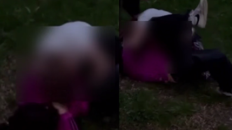  (VIDEO) „Hai, dăi”. Bătaie lângă un liceu de la Buiucani: Două fete și-au împărțit pumni și picioare în fața a zeci de tineri