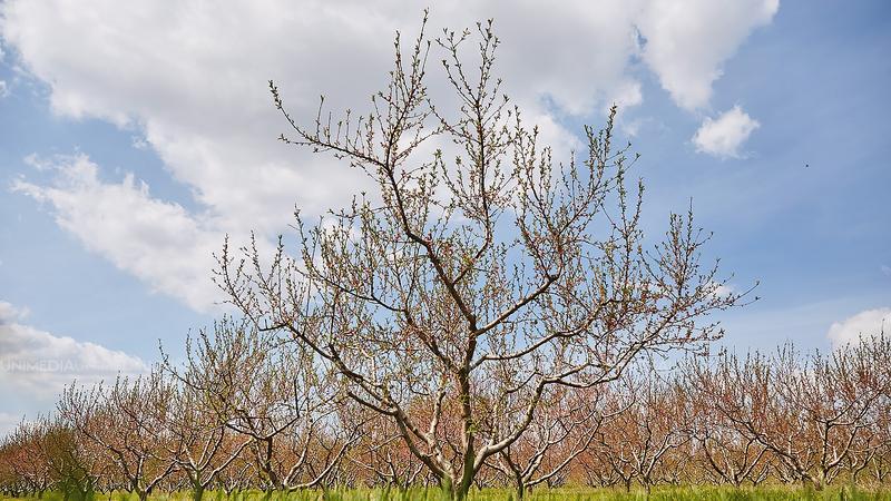  Vreme caldă, fără precipitații: Câte grade anunță meteorologii pentru astăzi