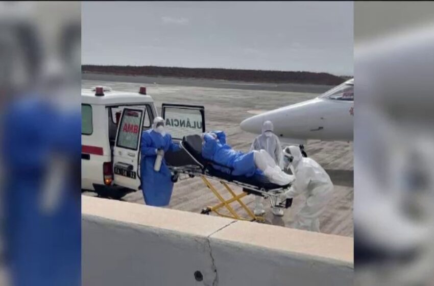  Țara în care cazurile mortale de hantavirus sunt în creștere. Experții dau vina pe schimbările climatice