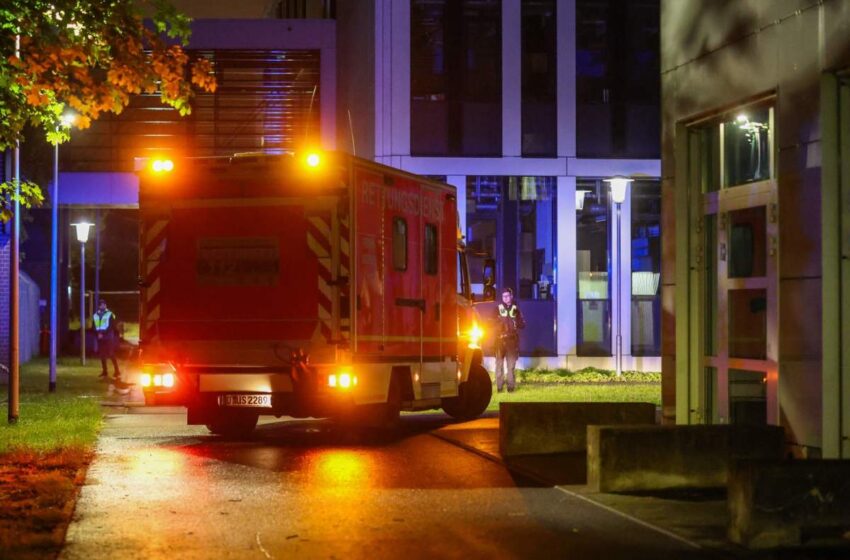  Hantavirusul a ajuns în Europa! O persoană care nu a fost pe vasul de croazieră s-a îmbolnăvit