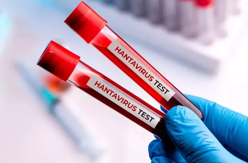 Lista țărilor care au confirmat cazuri de hantavirus după focarul de pe nava MV Hondius
