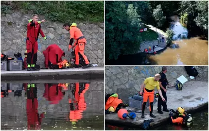  Copil de 11 ani, ucis de prietenii lui de pescuit. Criminalii, doi adolescenți de 16 ani și 15 ani